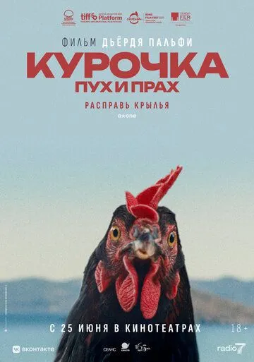Курочка. Пух и прах